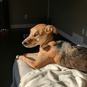 Meet your Posher, Ryan